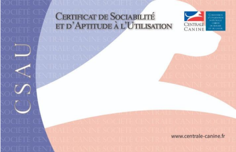 Csau