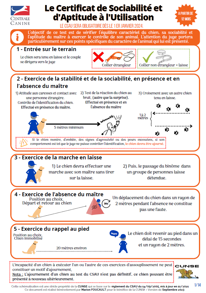Exercices csau